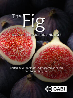 cover image of The Fig
